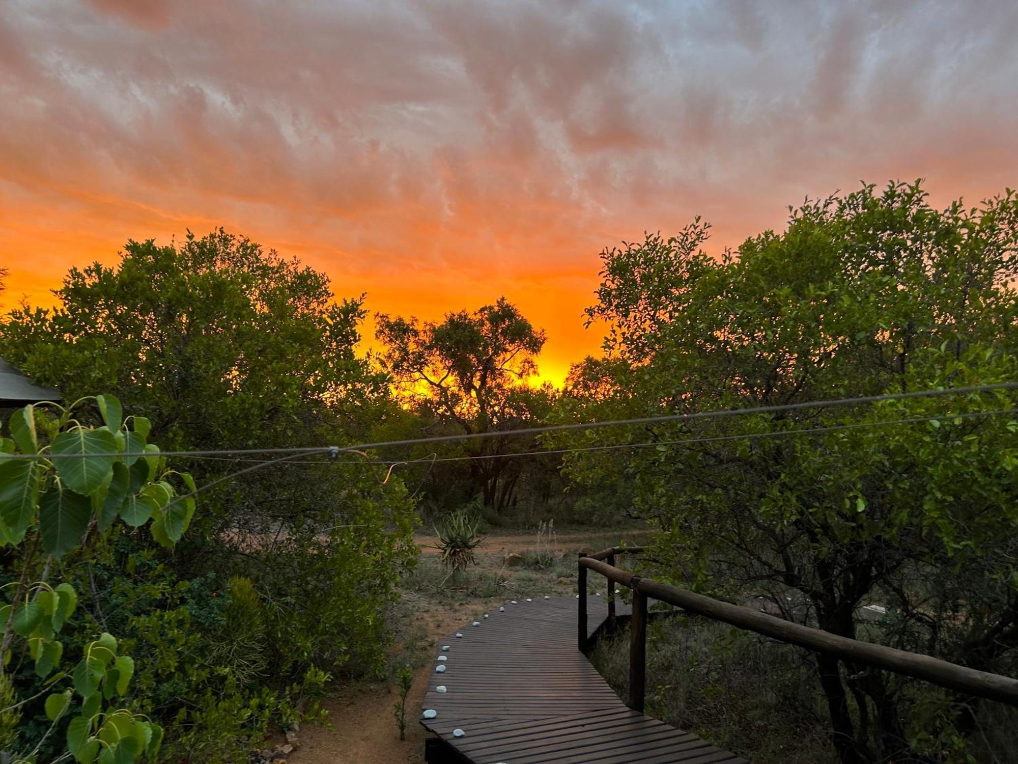 Out In Africa Wildlife Lodge Hammanskraal Exterior foto